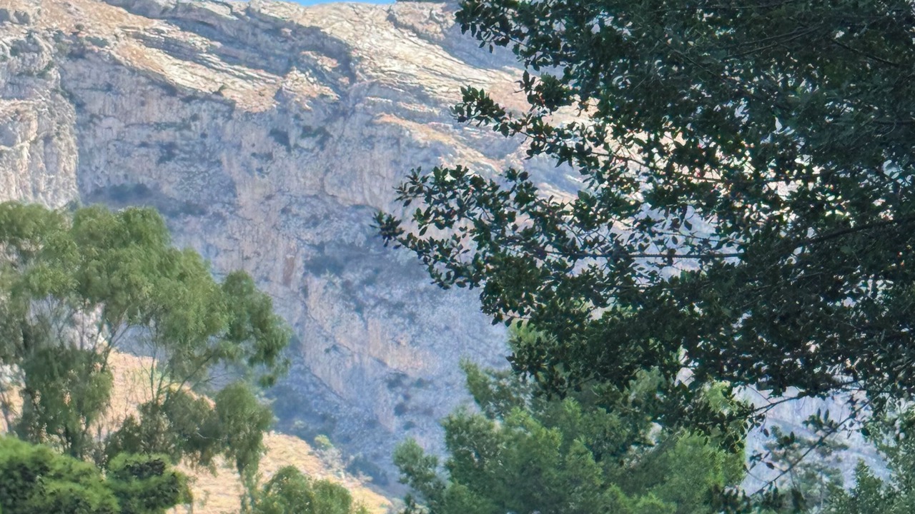 Photo of Others in Carini