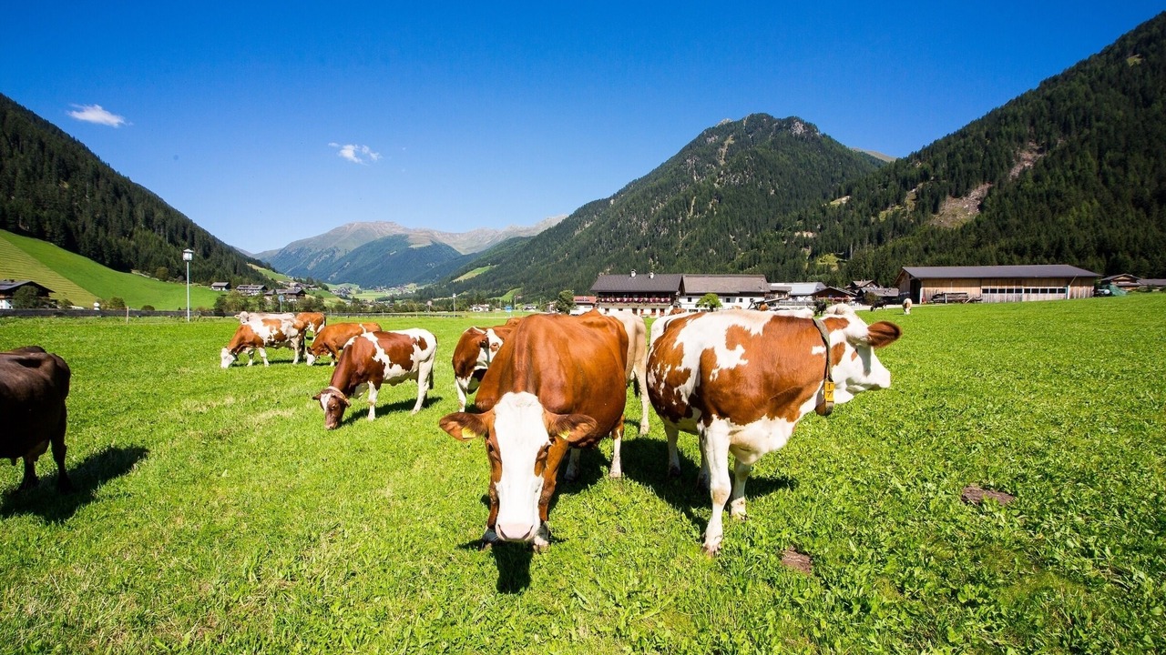 Photo of Others in Prateria
