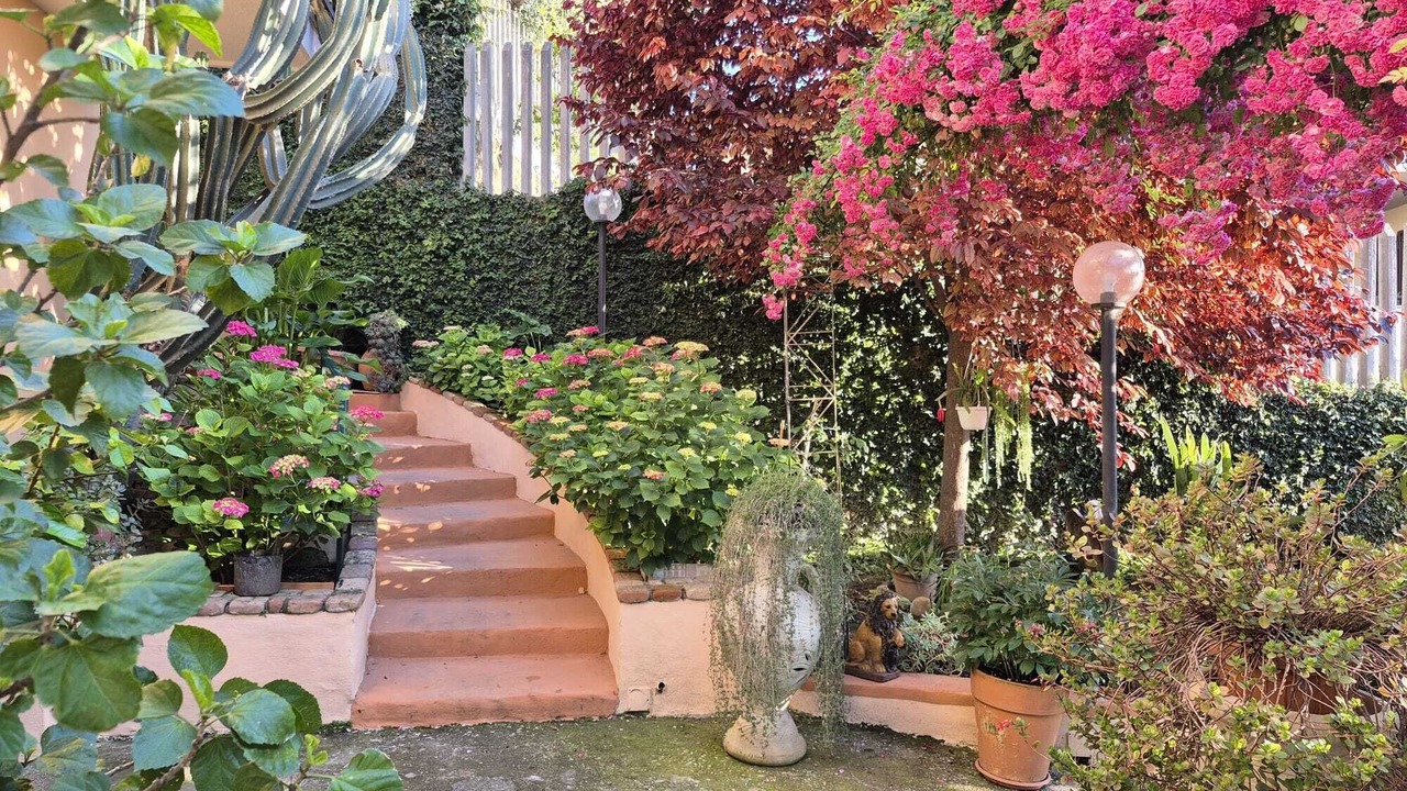 Photo of Outdoor in Monterotondo