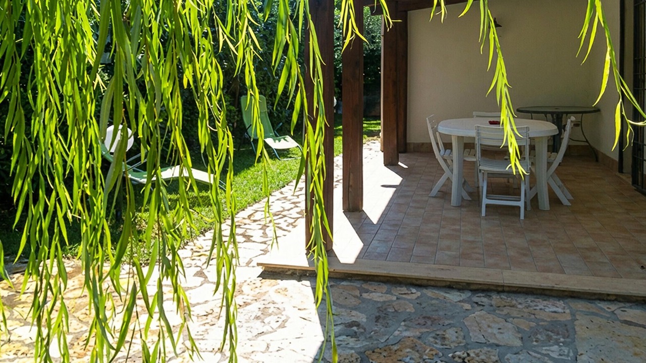 Photo of Others in Marsala