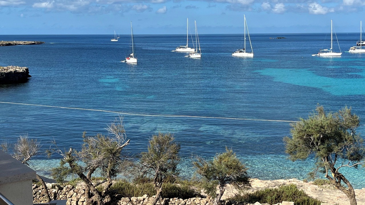 Photo of Others in Favignana