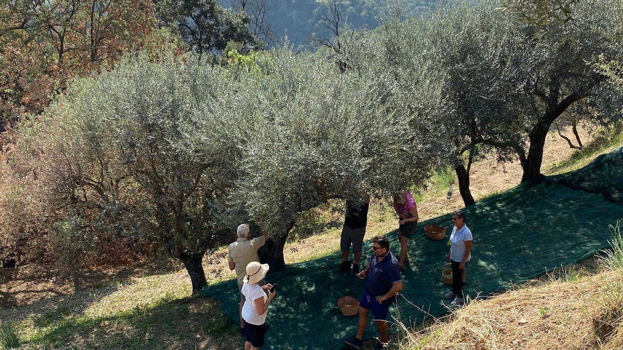 Photo of Others in Badolato