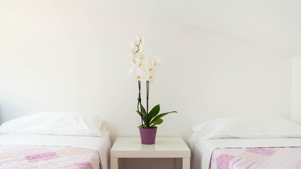 Photo of Bedroom in Alcamo Marina