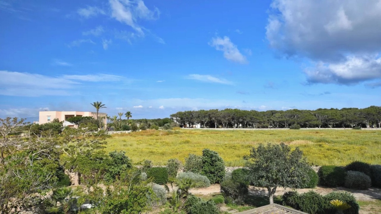 Photo of Others in Favignana