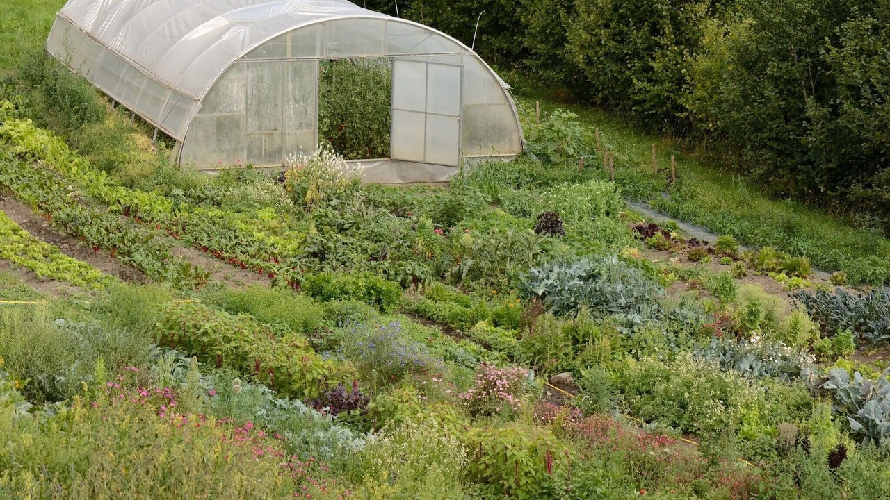 Photo of Outdoor in Villa Ottone