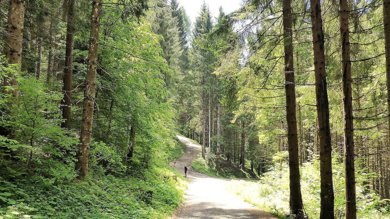 Photo of Outdoor in Venegazzu