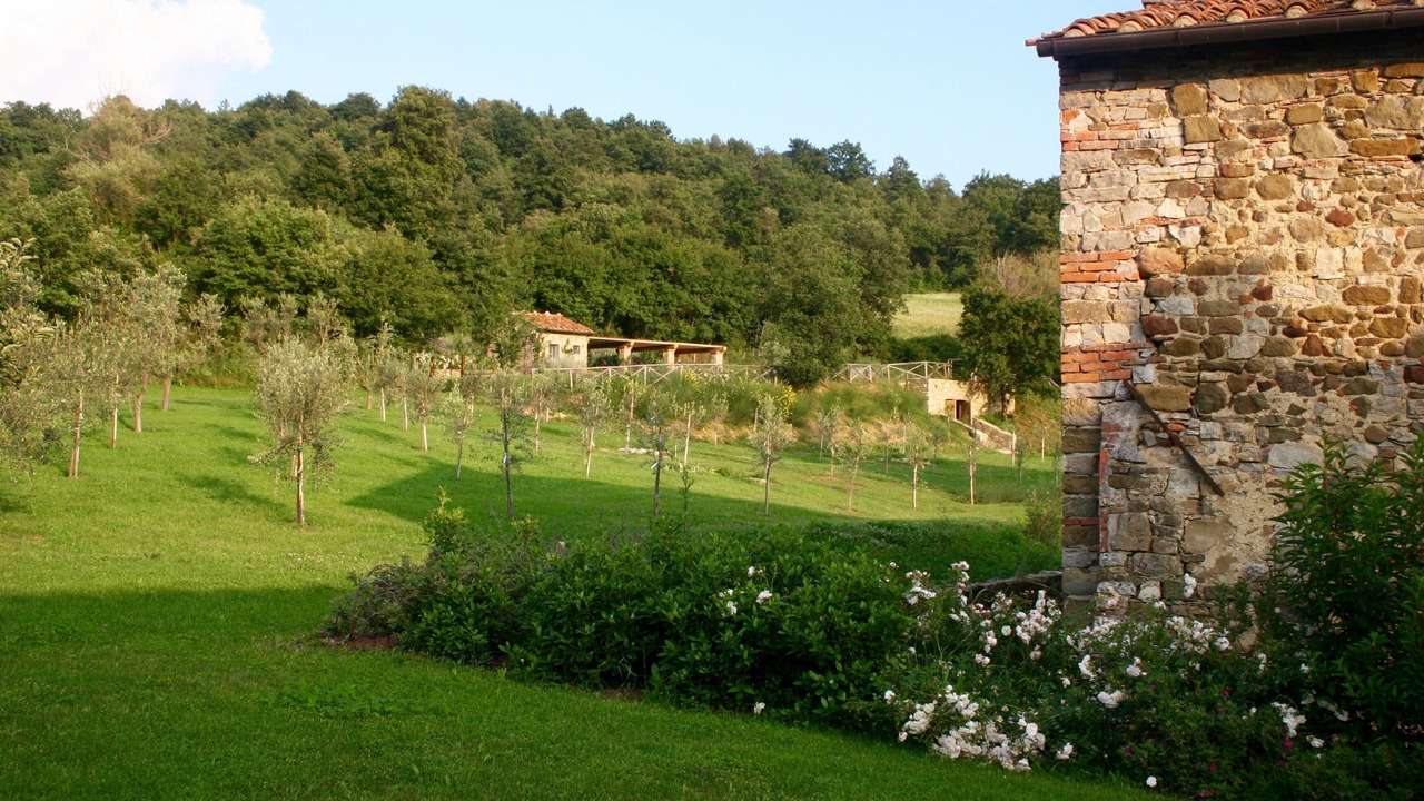 Photo of Outdoor in Ponte Buriano