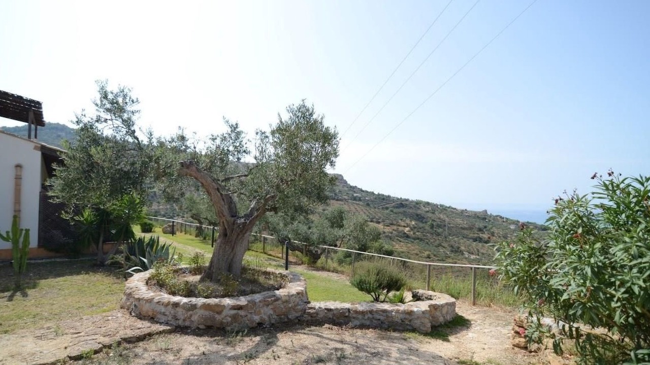 Photo of Others in Sciacca