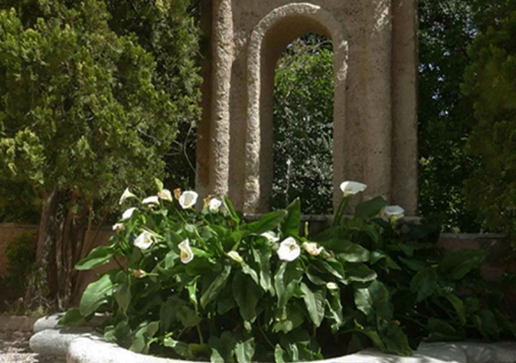 Photo of Others in Porticello