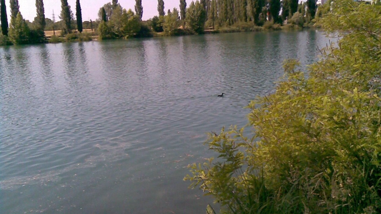 Photo of Others in Salionze