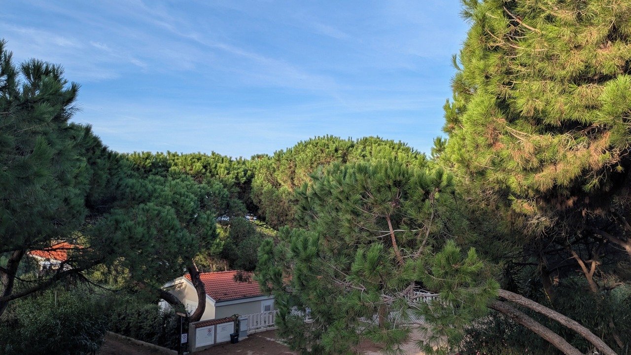 Photo of Outdoor in San Pietro a Mare