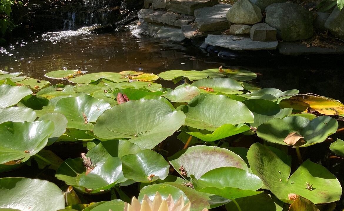 Photo of Outdoor in Fanny Bay
