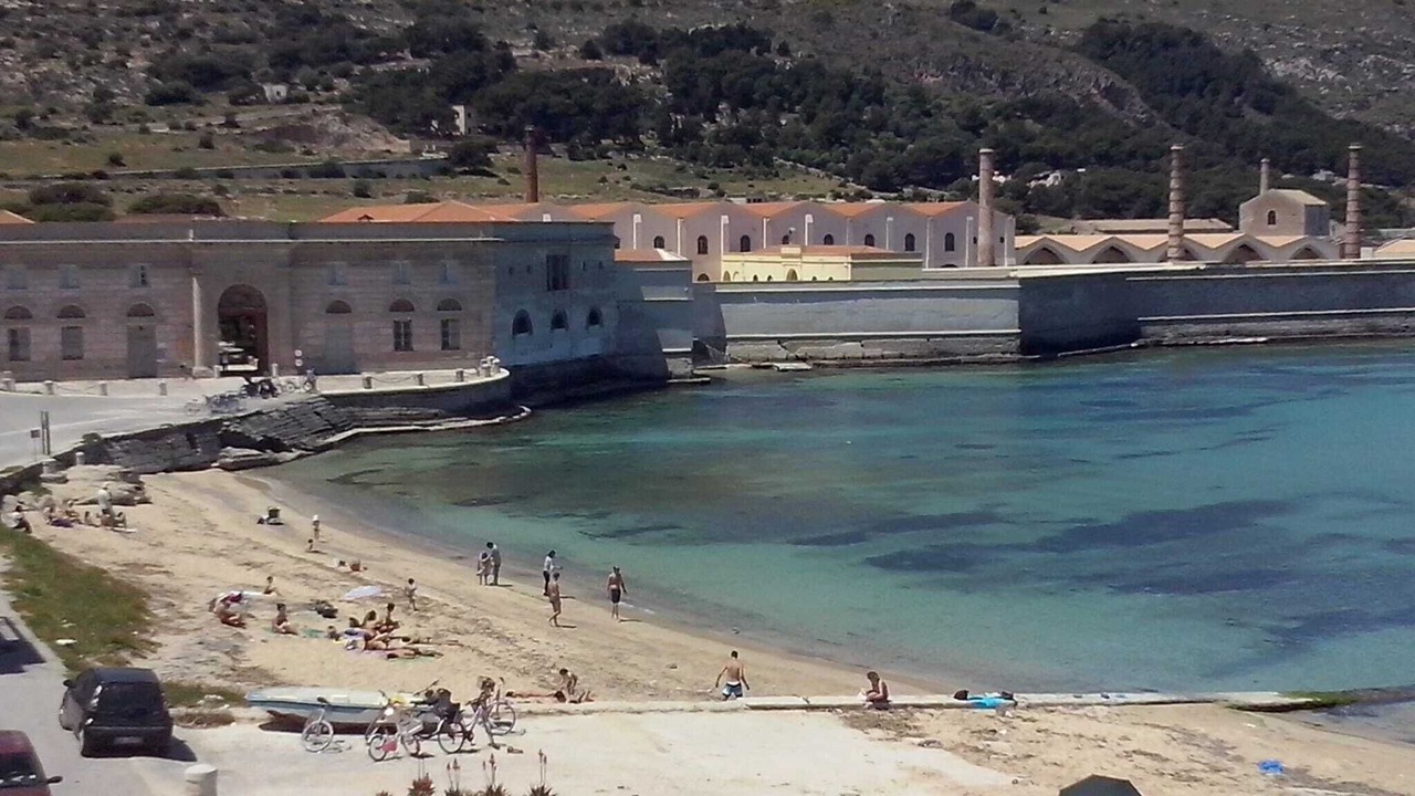 Photo of Others in Favignana