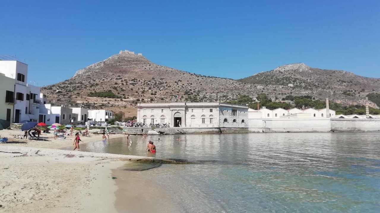 Photo of Others in Favignana