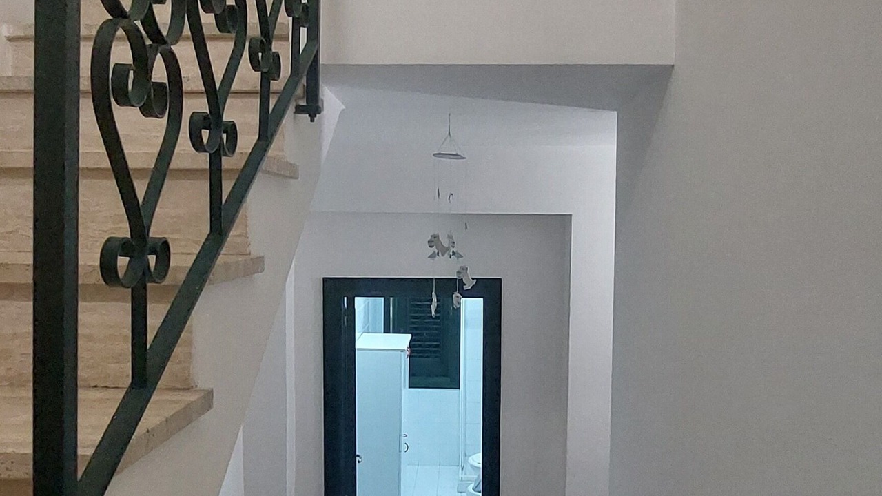 Photo of Others in Solfarelli