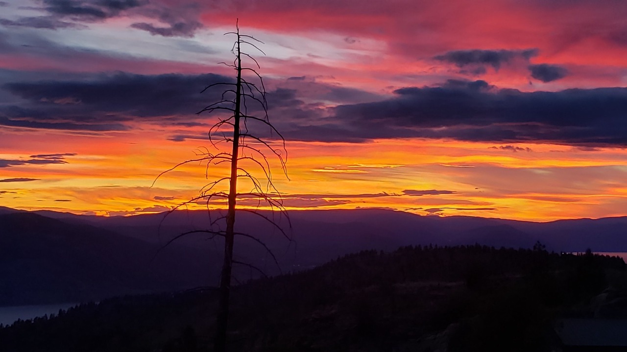 Photo of Others in Okanagan-Similkameen