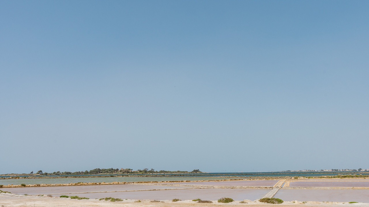Photo of Others in Marsala