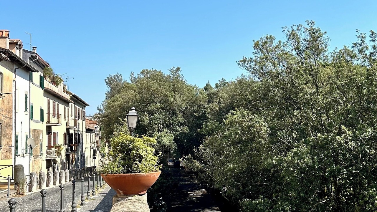 Photo of Others in Castel Gandolfo