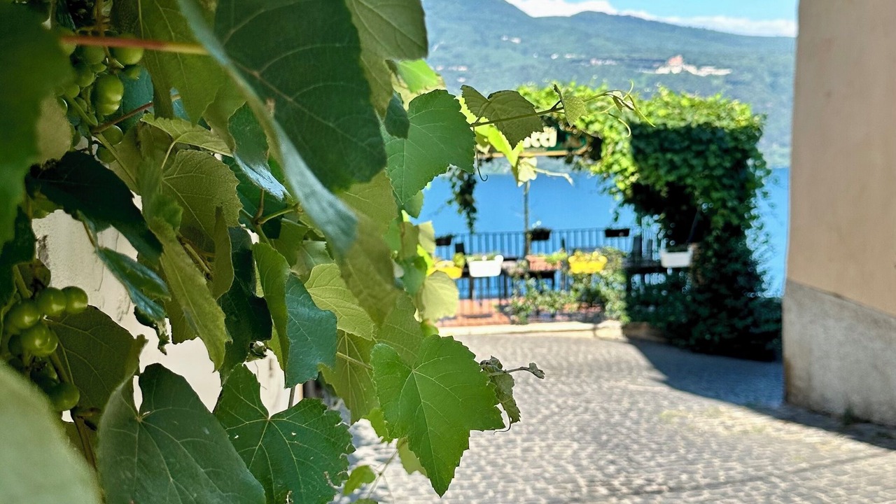 Photo of Outdoor in Castel Gandolfo