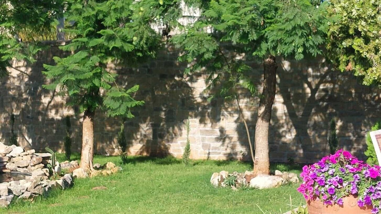 Photo of Outdoor in Palermo