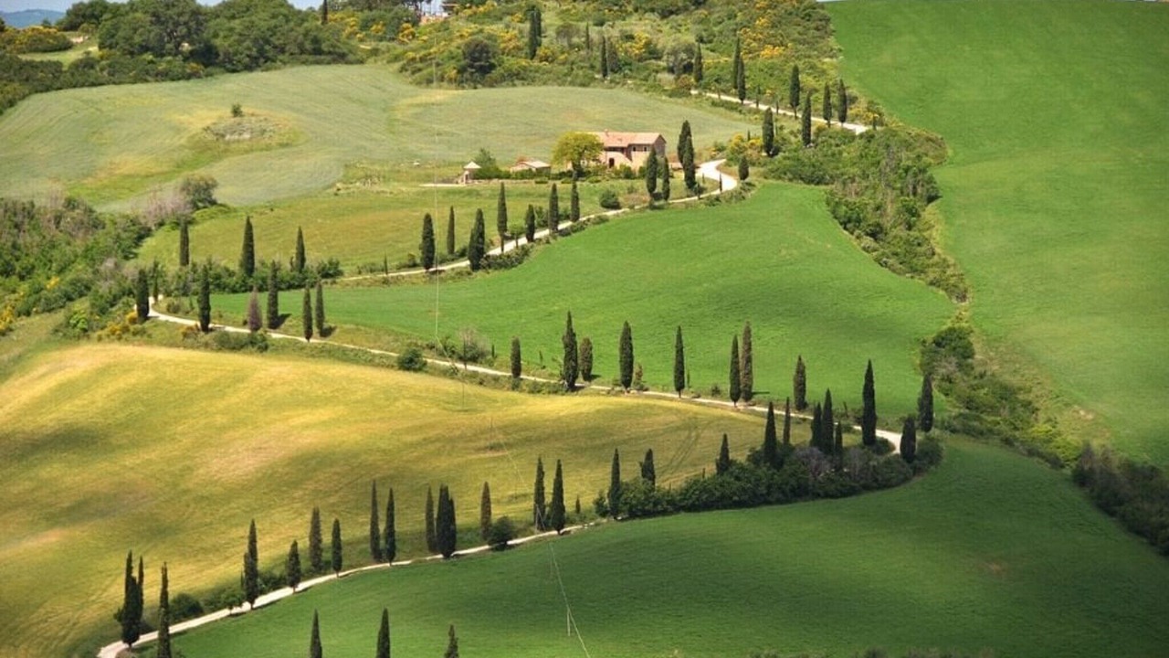 Photo of Others in Montepulciano