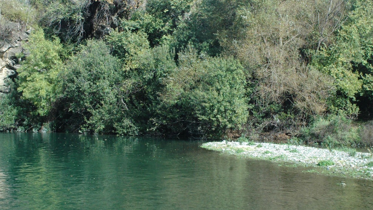 Photo of Others in Mitogio