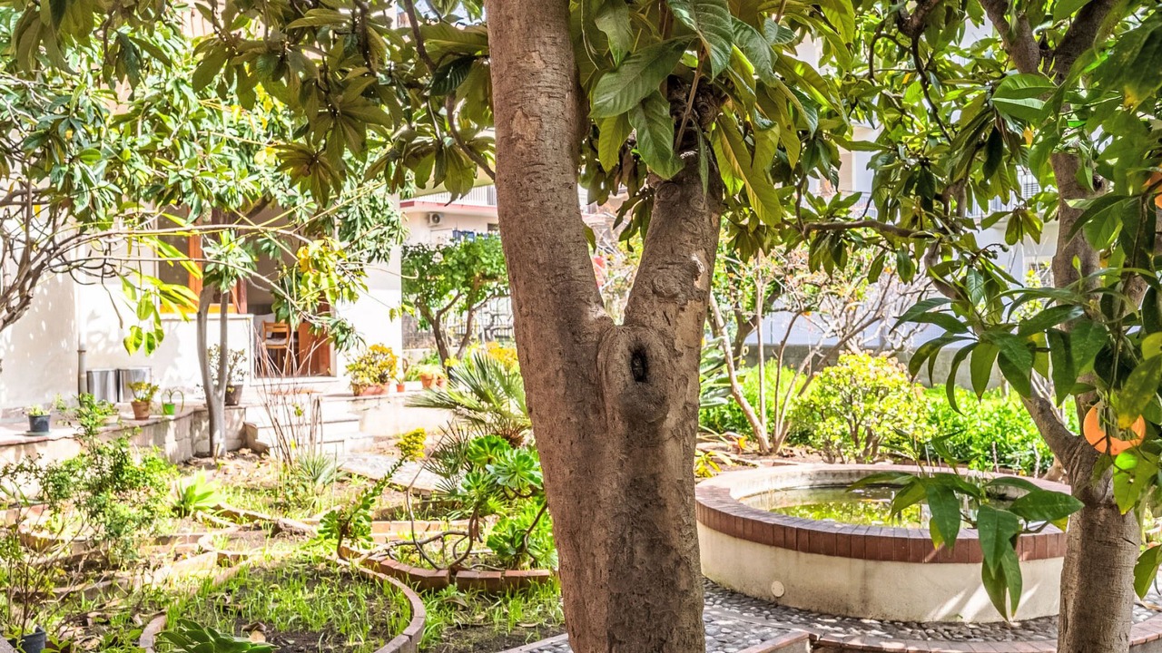 Photo of Others in Calatabiano