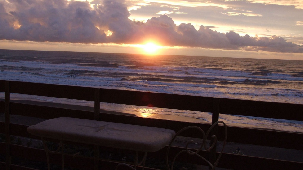 Photo of Others in Marina di Castagneto Carducci