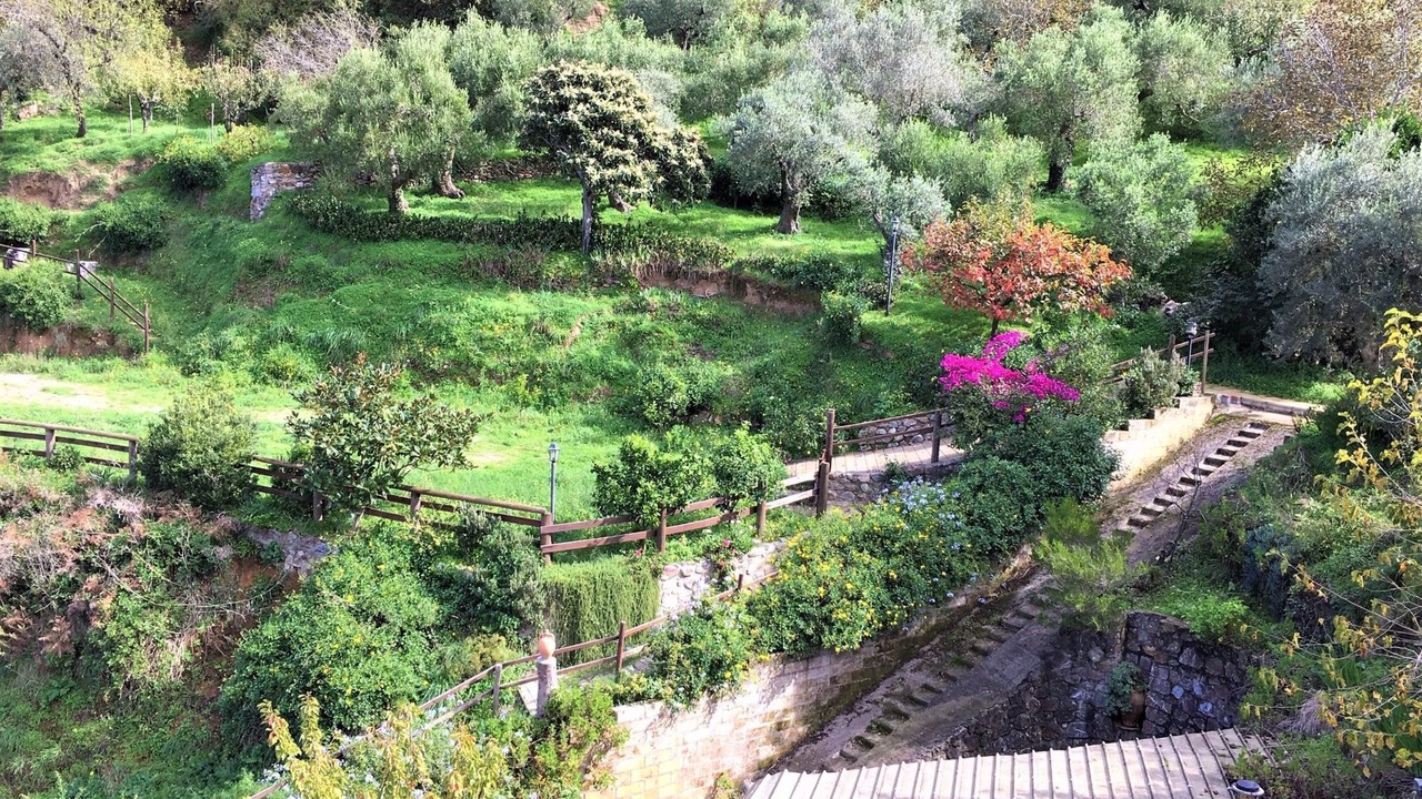 Photo of Others in Gioiosa Marea