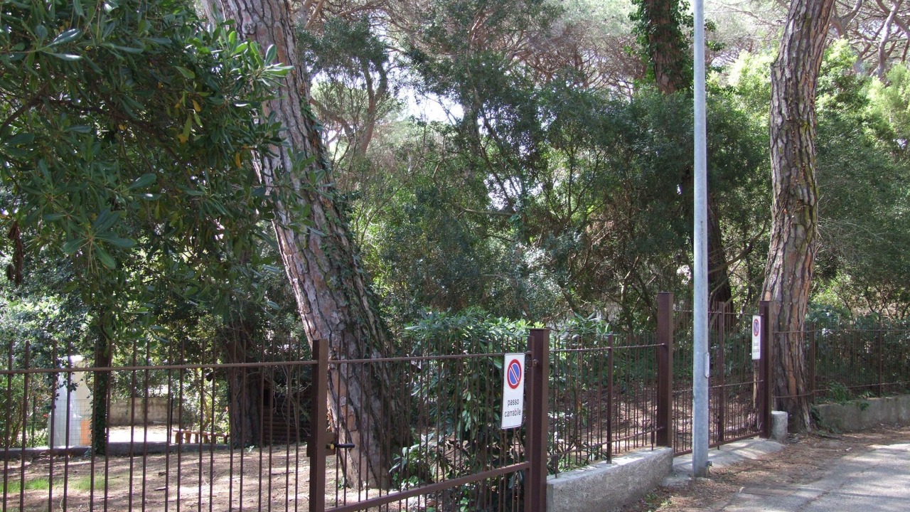 Photo of Others in Marina di Castagneto Carducci