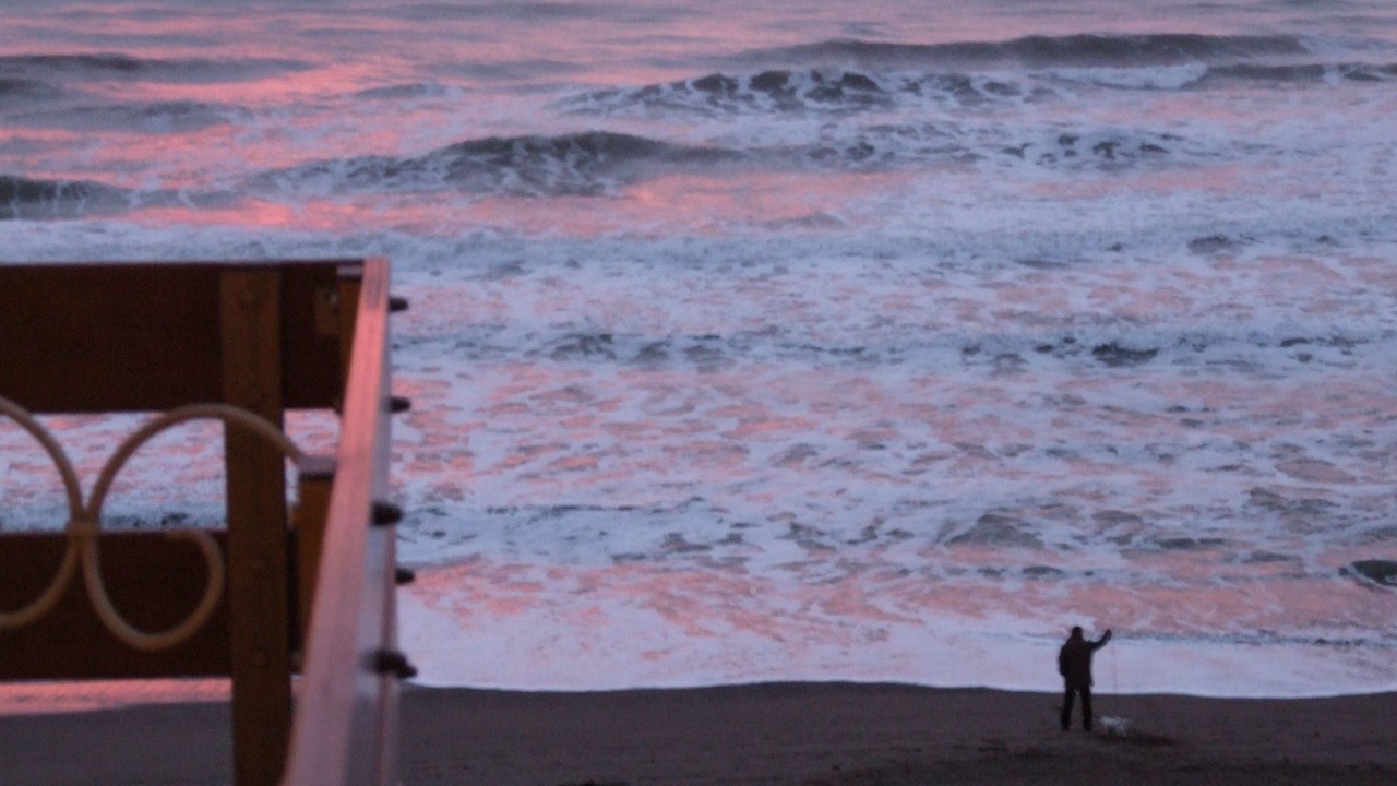 Photo of Others in Marina di Castagneto Carducci