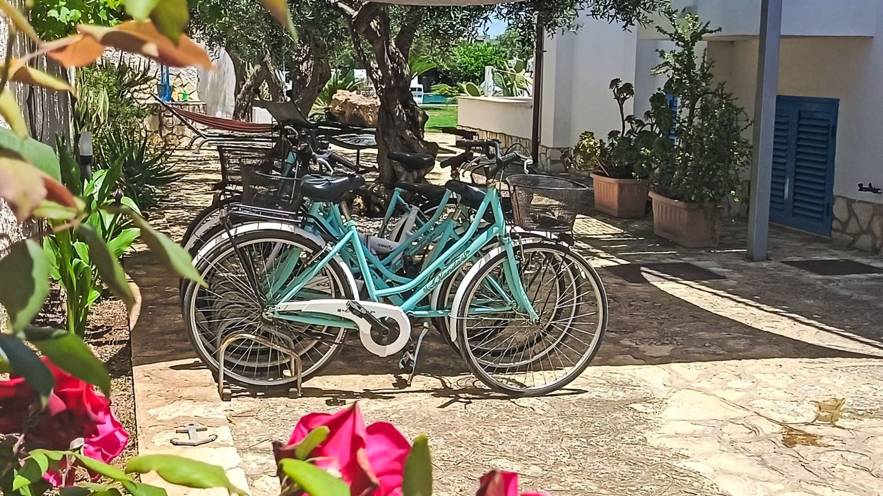 Photo of Others in Marsala