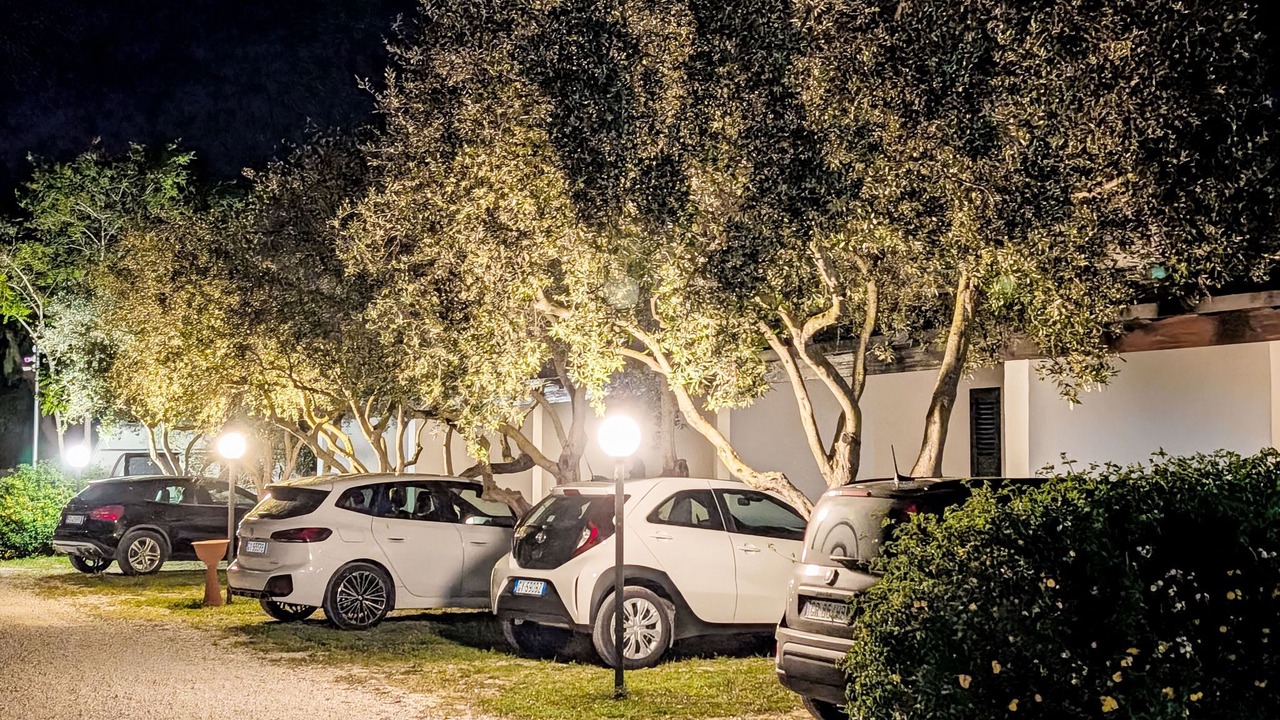 Photo of Others in Marsala