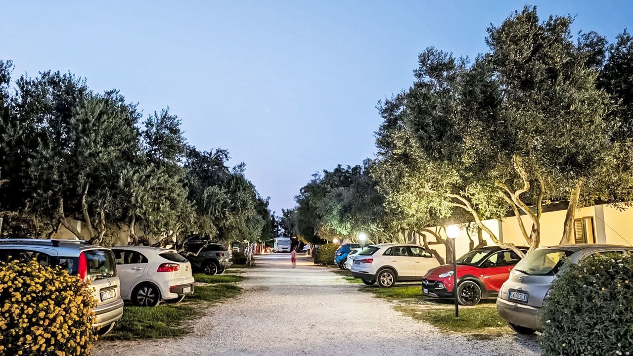 Photo of Others in Marsala