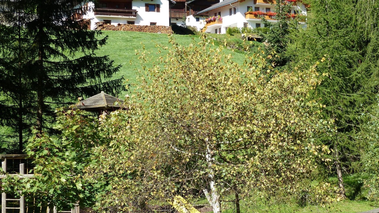 Photo of Outdoor in Lappago