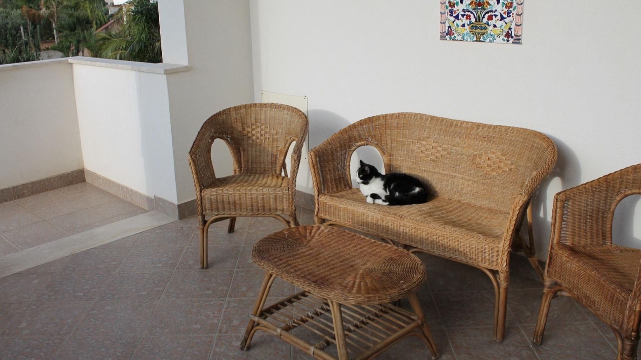 Photo of Others in Marsala