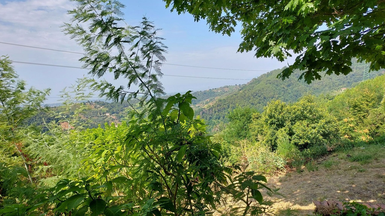 Photo of Others in Strettoia