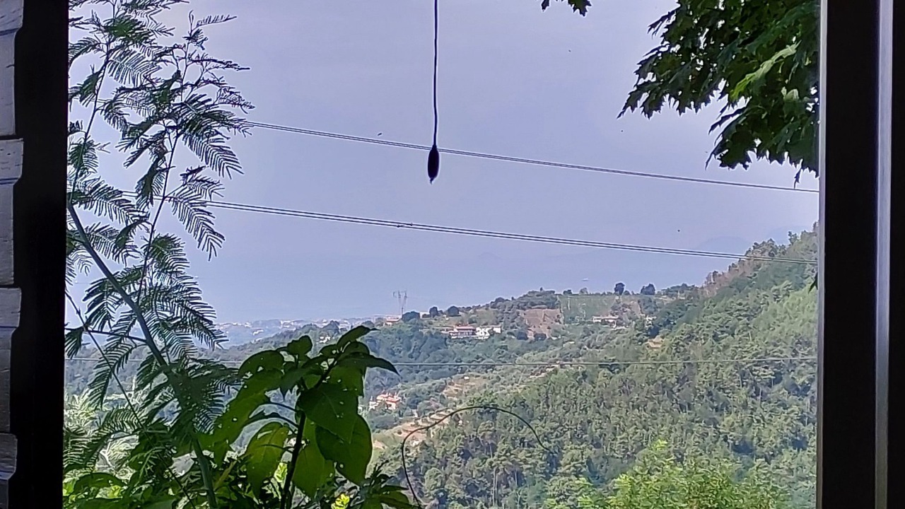 Photo of Others in Strettoia