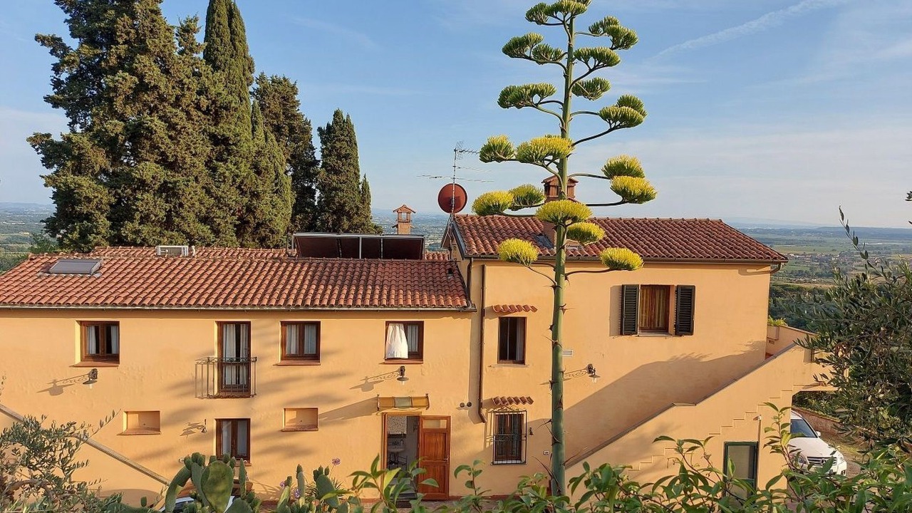 Photo of Others in Monsummano Terme