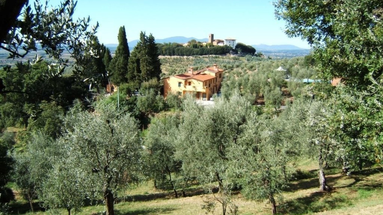 Photo of Others in Monsummano Terme