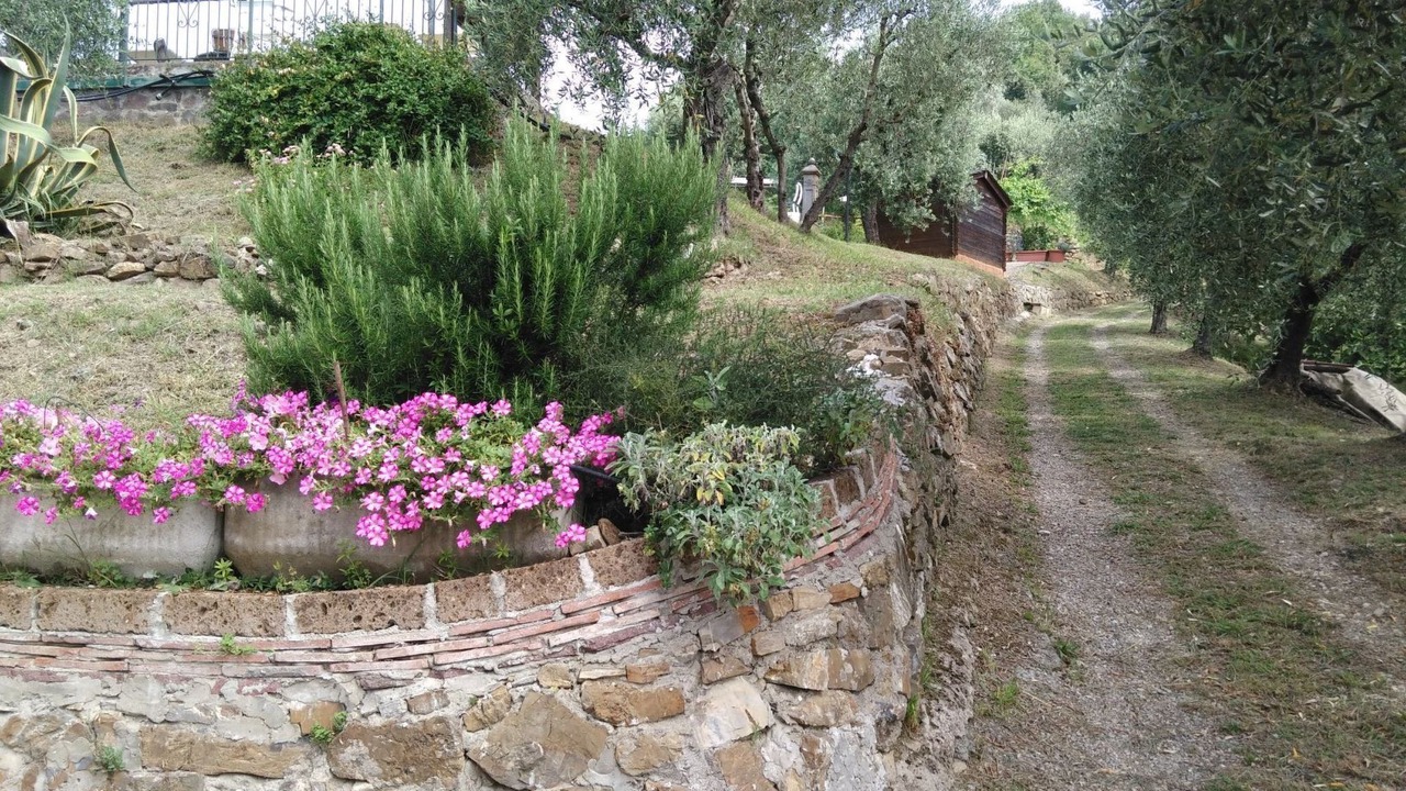 Photo of Others in Monsummano Terme