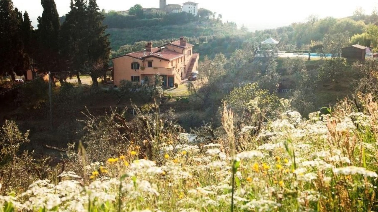 Photo of Others in Monsummano Terme