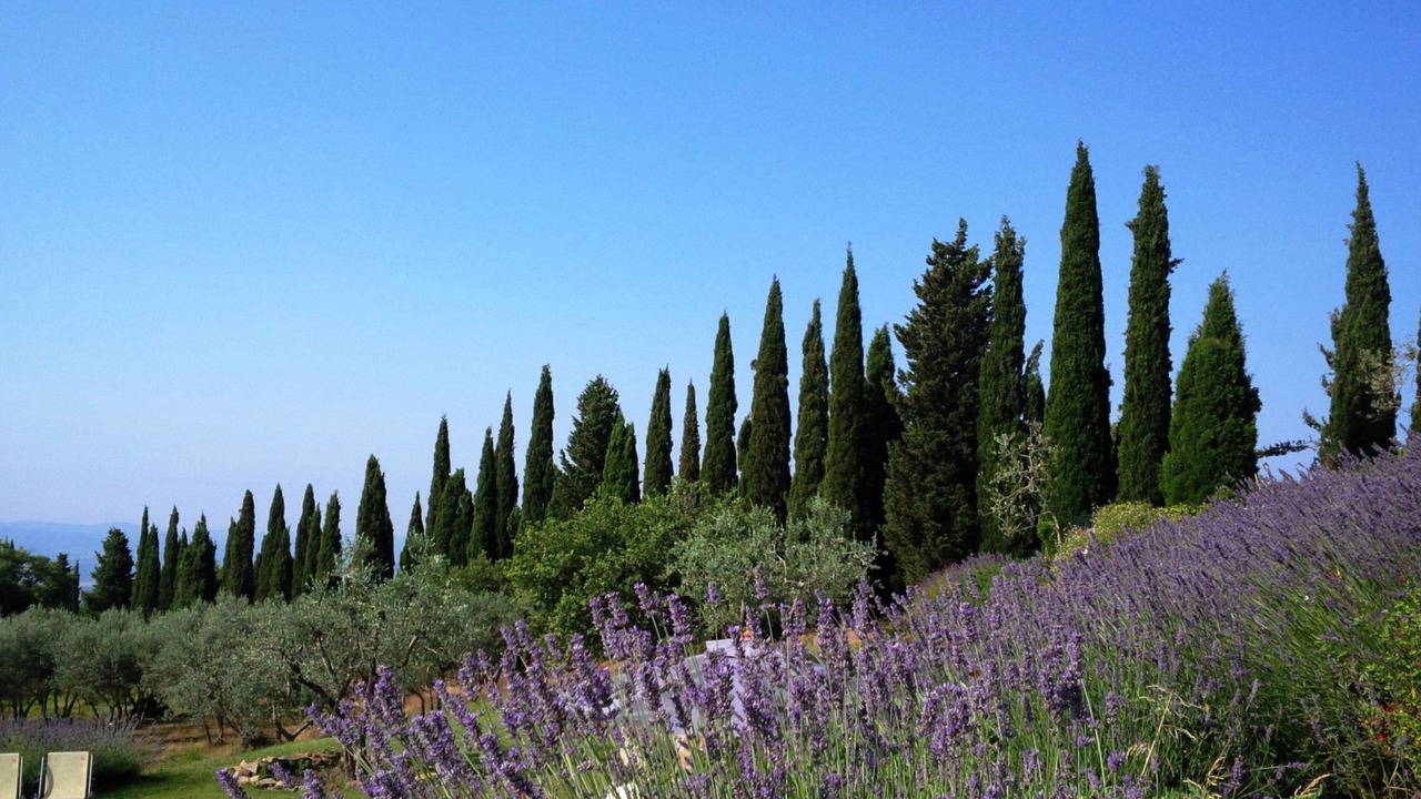 Photo of Outdoor in Loro Ciuffenna