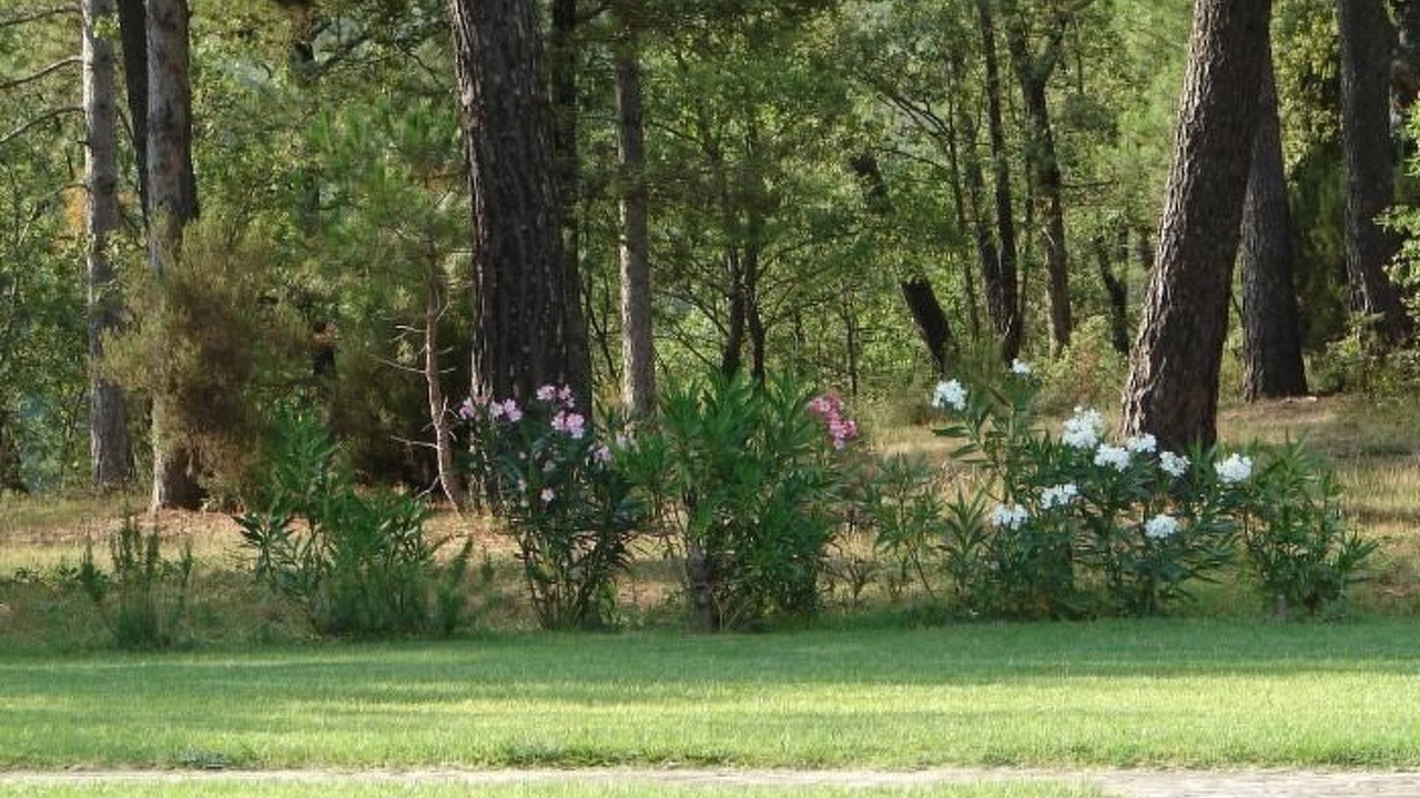 Photo of Outdoor in Loro Ciuffenna