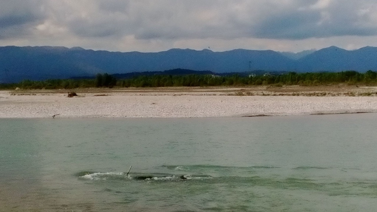 Photo of Others in Noventa di Piave