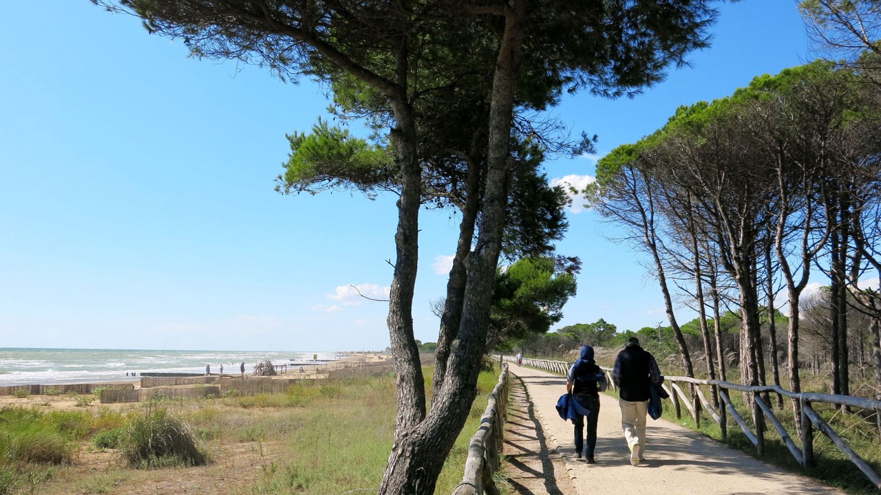 Photo of Others in Noventa di Piave