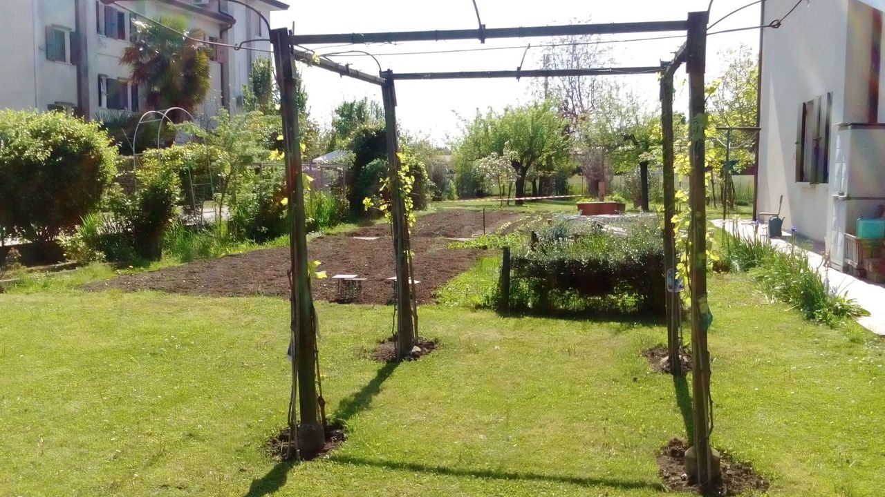 Photo of Others in Noventa di Piave