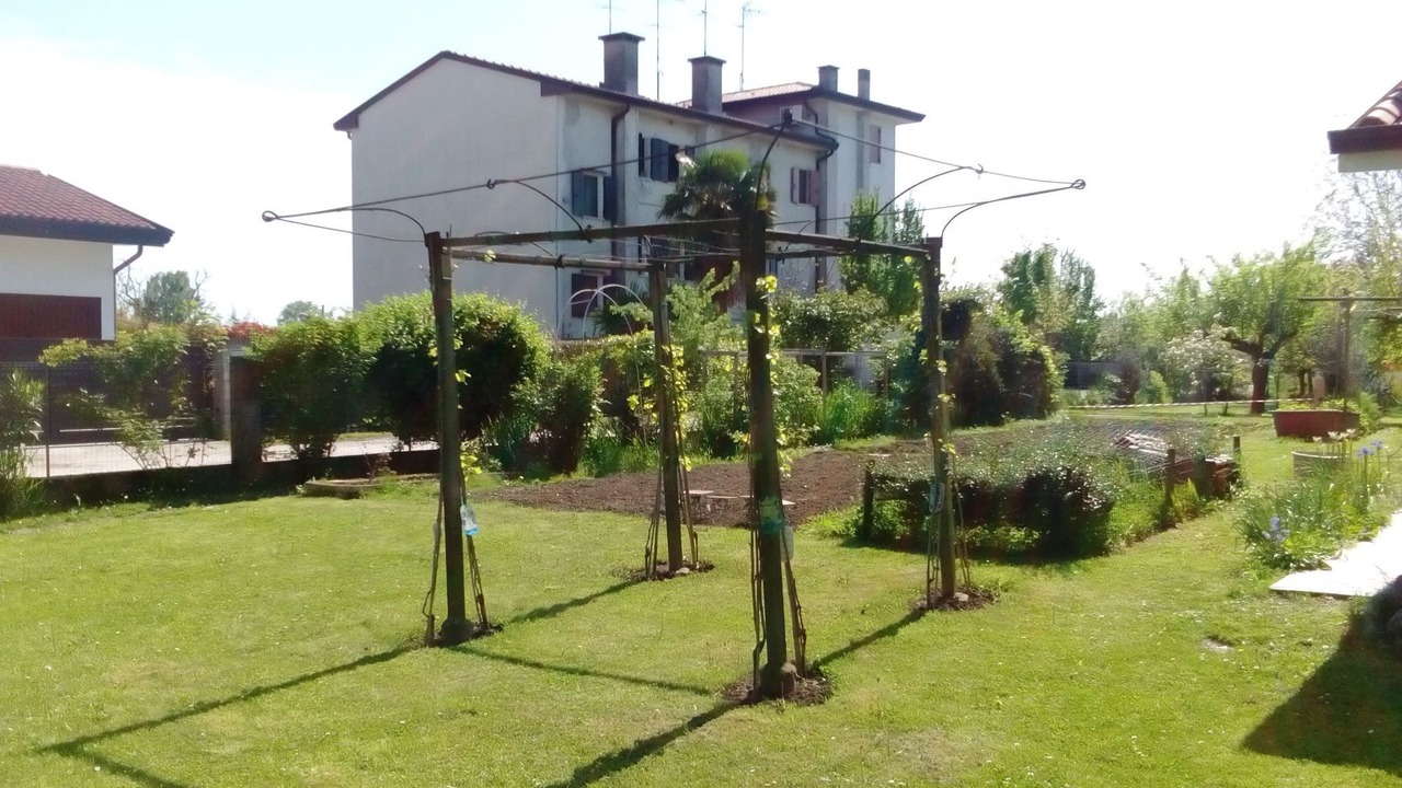 Photo of Others in Noventa di Piave