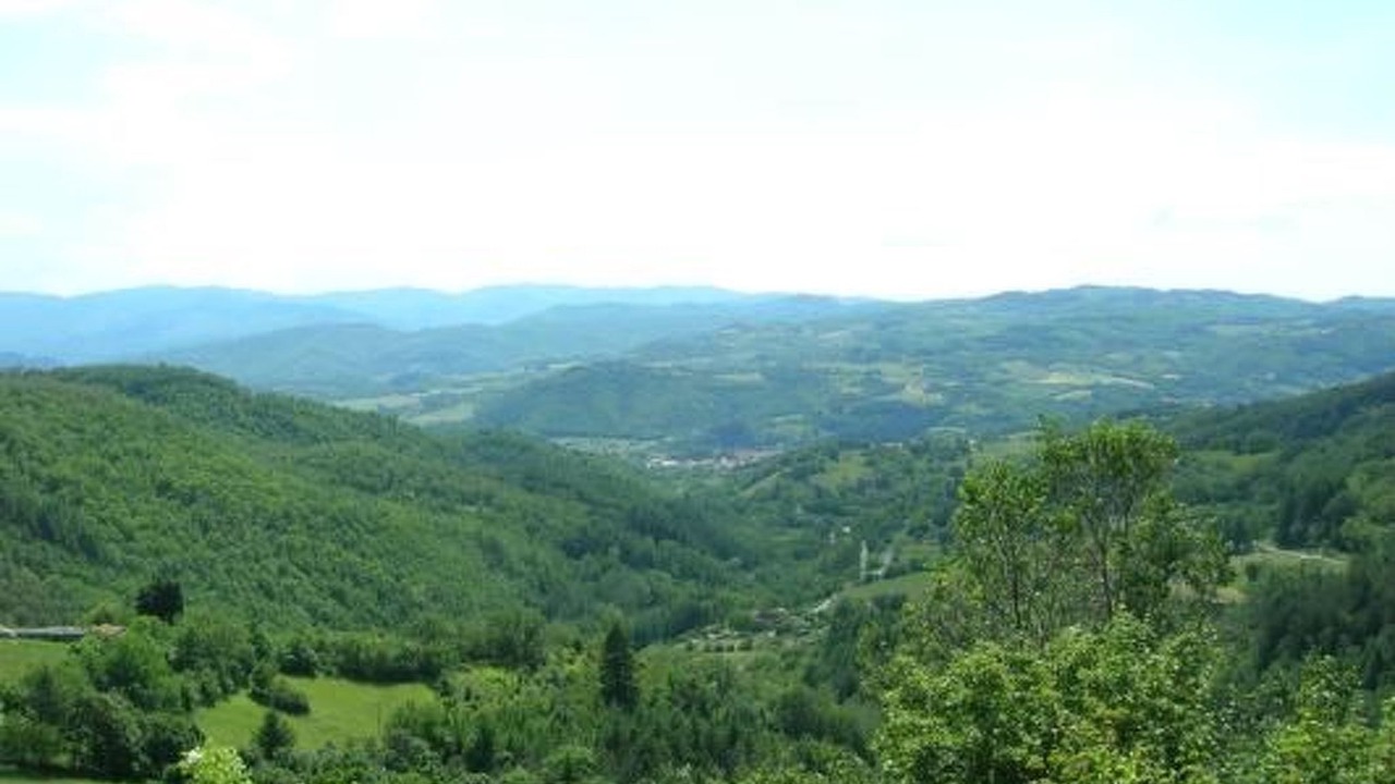Photo of Others in Moggiana