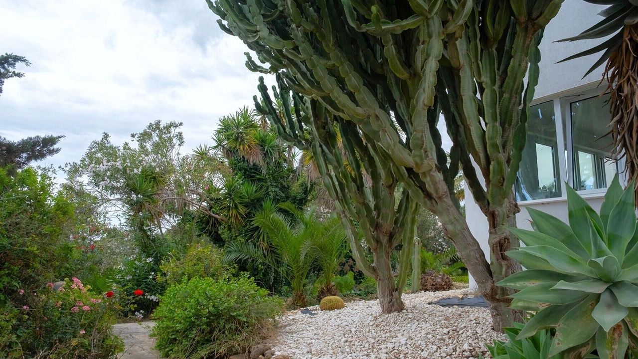 Photo of Outdoor in Mazara del Vallo